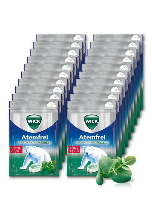 WICK Atemfrei 72g 20er Karton