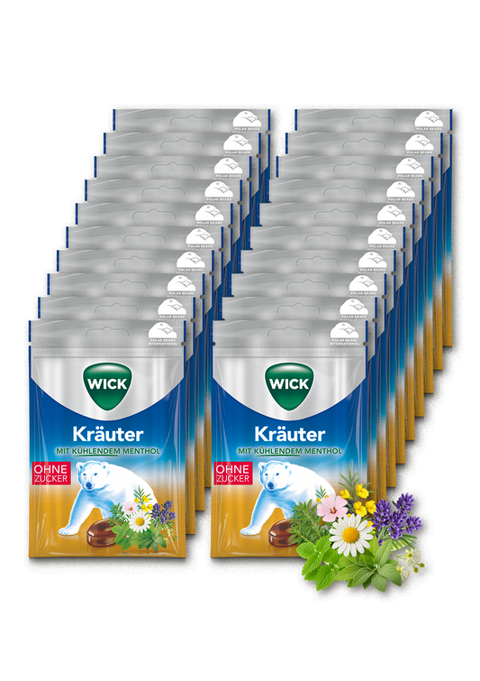 WICK Kräuter 72g 20er Karton