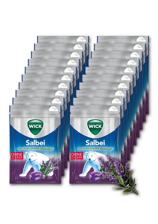 WICK Salbei 72g 20er Karton