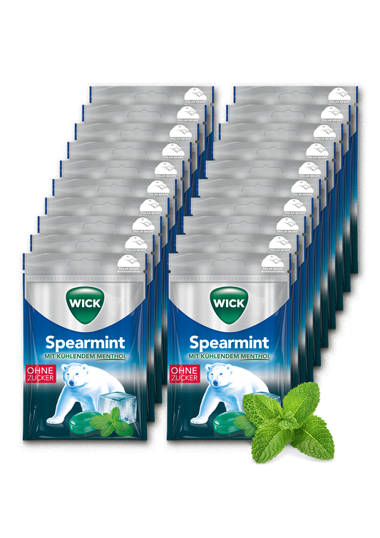 WICK Spearmint 72g 20er Karton